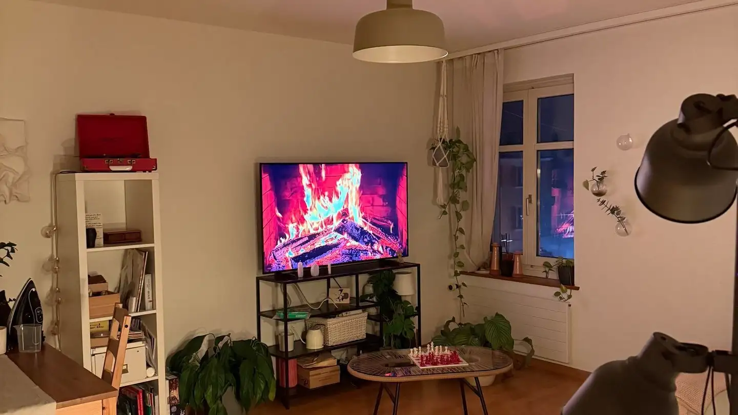 Wohnung mieten - Bleichestrasse 19, 8400 Winterthur