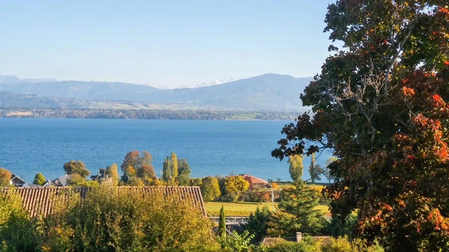 Einfamilienhaus kaufen - 1260 Nyon