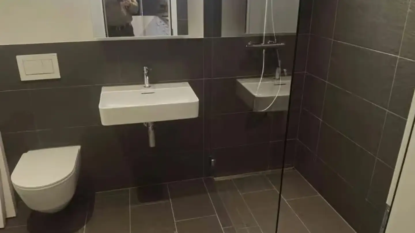 Wohnung mieten - Untere Wiesenstrasse, 9650 Nesslau - Foto 3