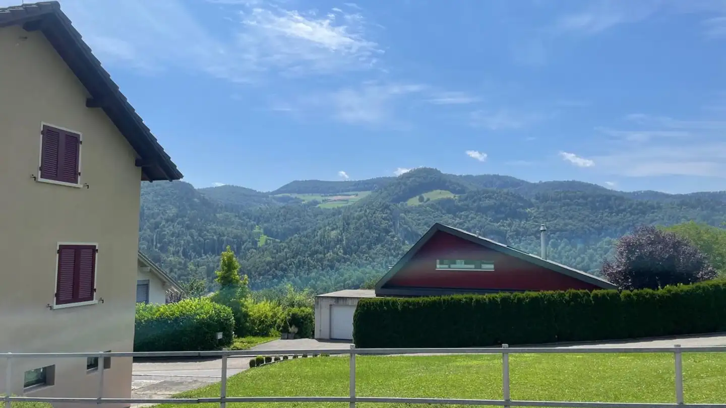 Terreno edificabile in vendita - 4254 Liesberg Dorf - Photo 3