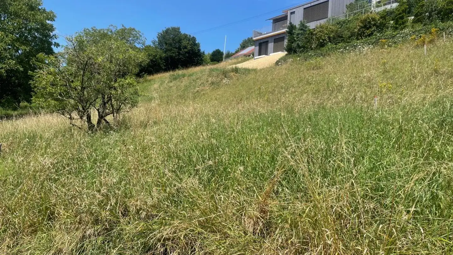 Terreno edificabile in vendita - 4254 Liesberg Dorf - Photo 2