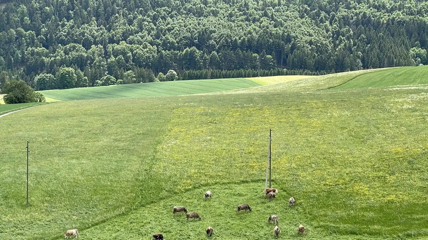 Appartamento in affitto - Avenue Des Alpes 32, 1450 Ste-Croix - Foto 2
