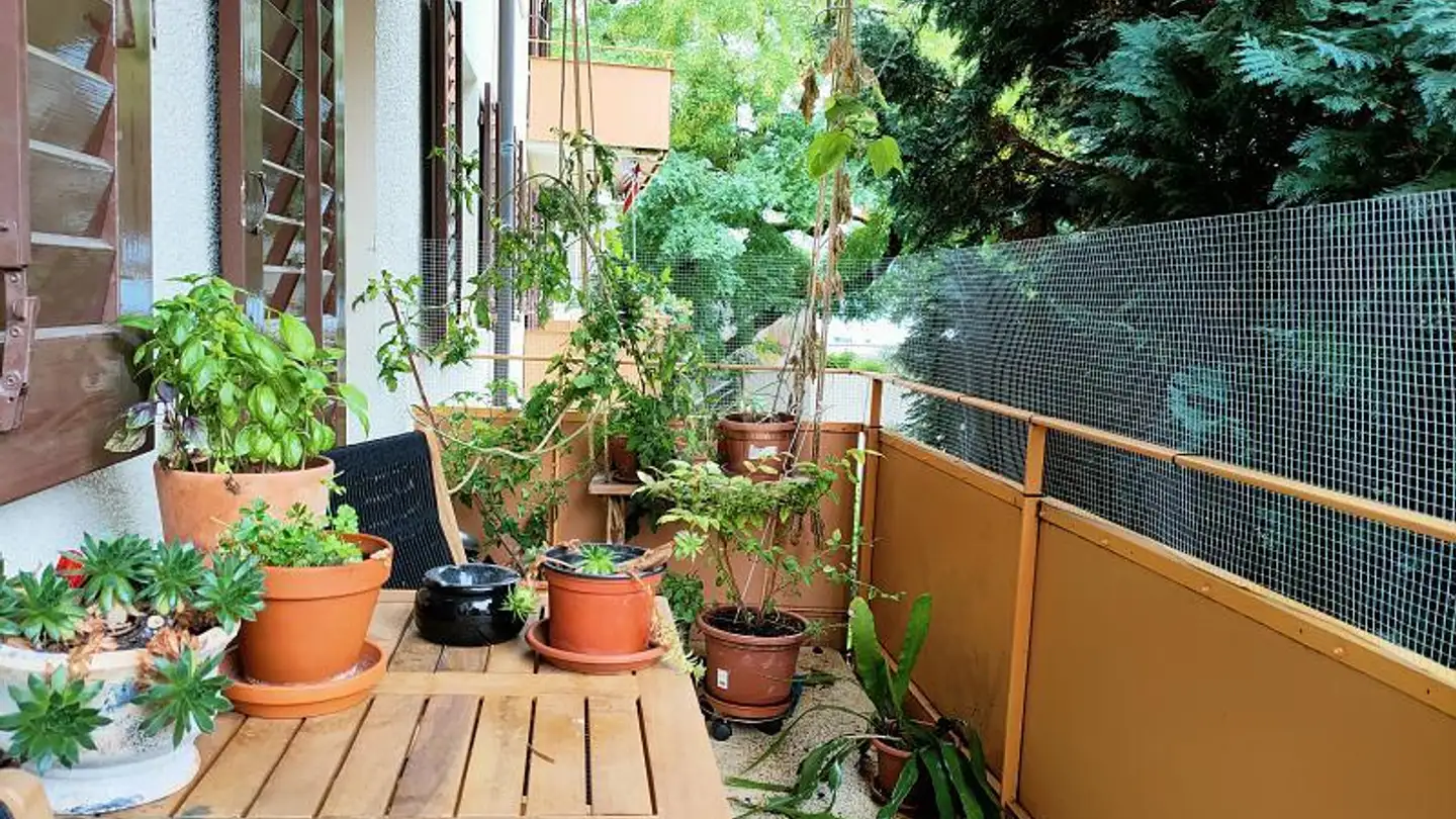 Appartement à louer - 8200 Schaffhausen - Photo 2