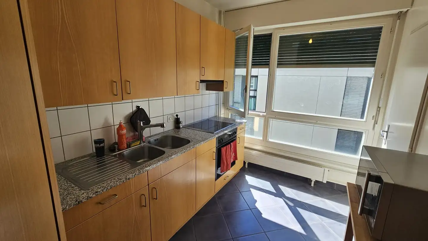 Appartamento in affitto - Rue De La Terrassière, 1207 Genève - Foto 2