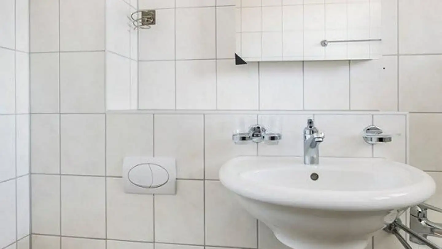 Duplex for rent - Im Steinenmüller 3, 4142 Münchenstein - Photo 4