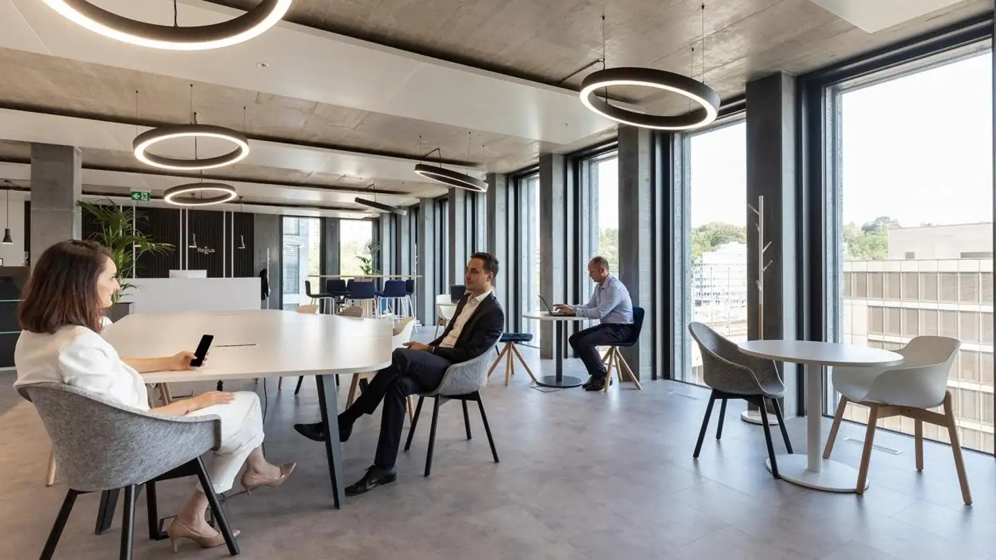 Commerciale in affitto - Esplanade De Pont-Rouge 4, 1212 Grand-Lancy