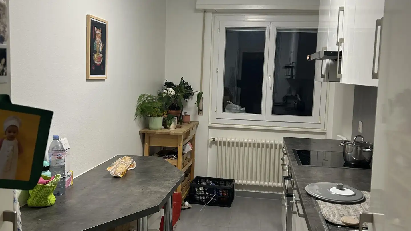 Appartamento in affitto - Avenue De Lavaux 78, 1009 Pully - Foto 2