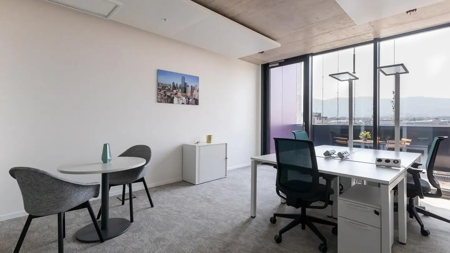 Commercial à louer - Esplanade De Pont-Rouge 4, 1212 Grand-Lancy - Photo 3