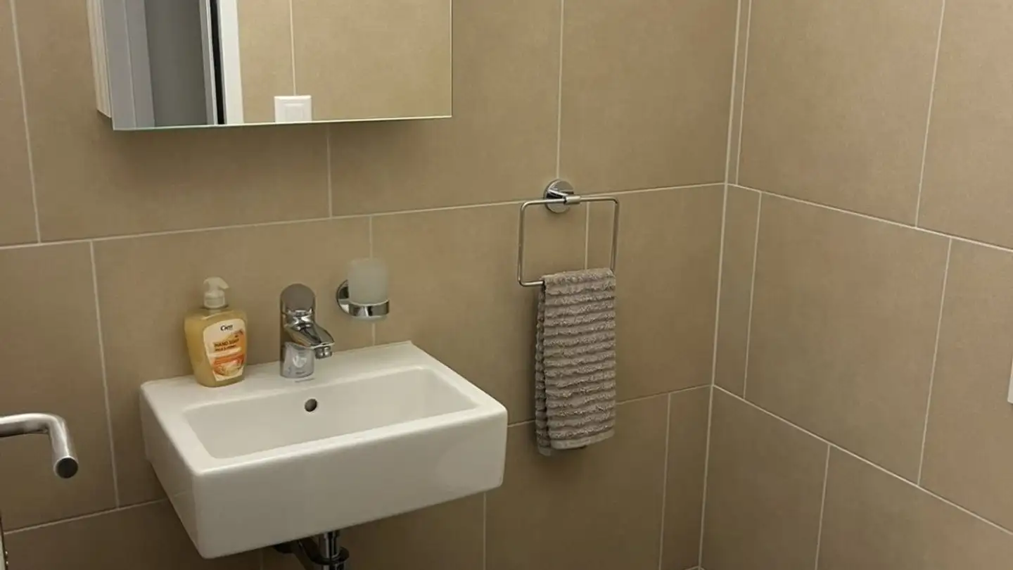 Wohnung mieten - Altwiesenstrasse 346, 8051 Zürich - Foto 3