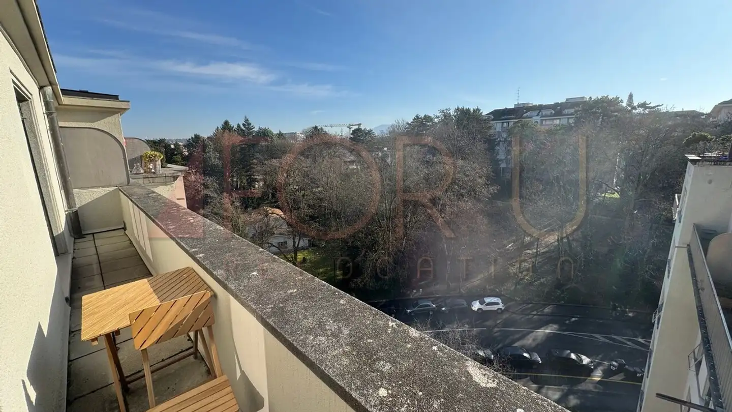 Wohnung mieten - Rue Gustave- Muller-Brun, 1208 Genève