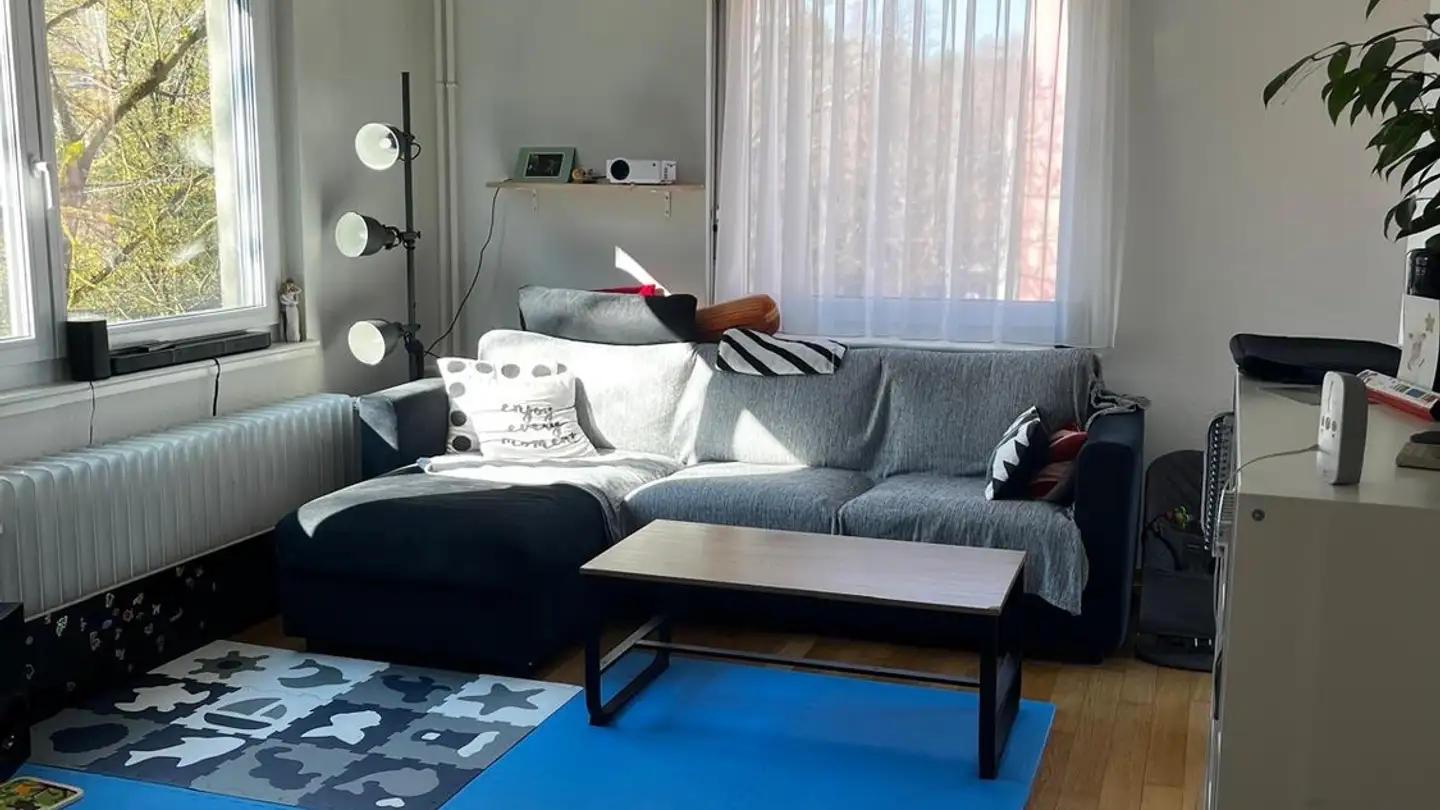 Wohnung mieten - Albisriederstrasse 86, 8003 Zürich - Foto 2
