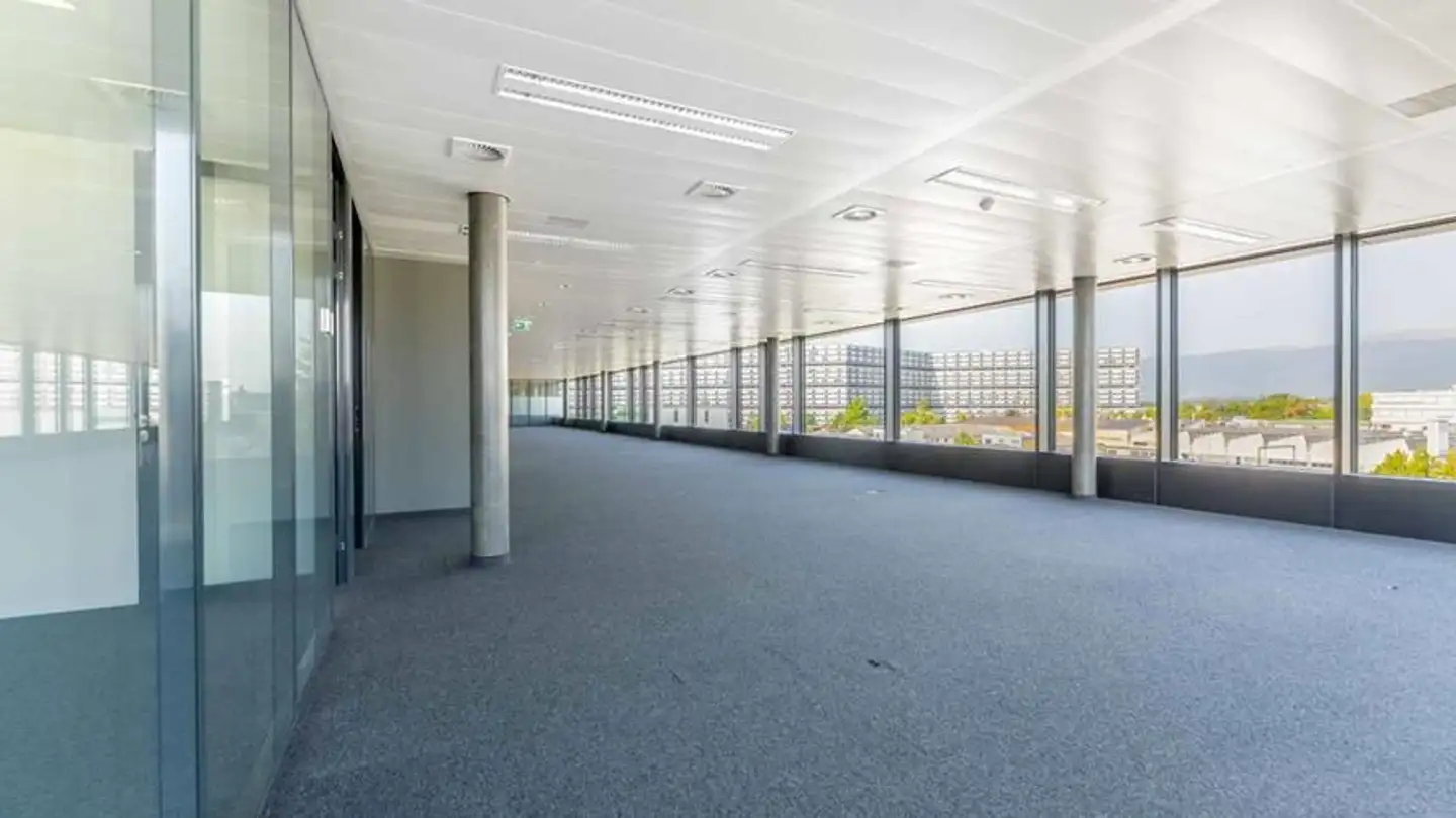 Bürofläche mieten - Chemin Du Château-Bloch 11, 1219 Le Lignon