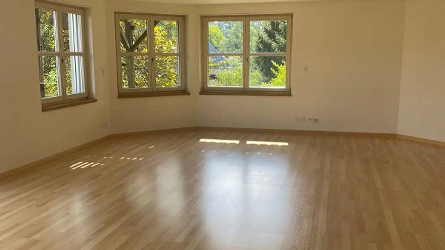 Appartamento in affitto - Burggütliweg 9, 8200 Schaffhausen - Photo 4