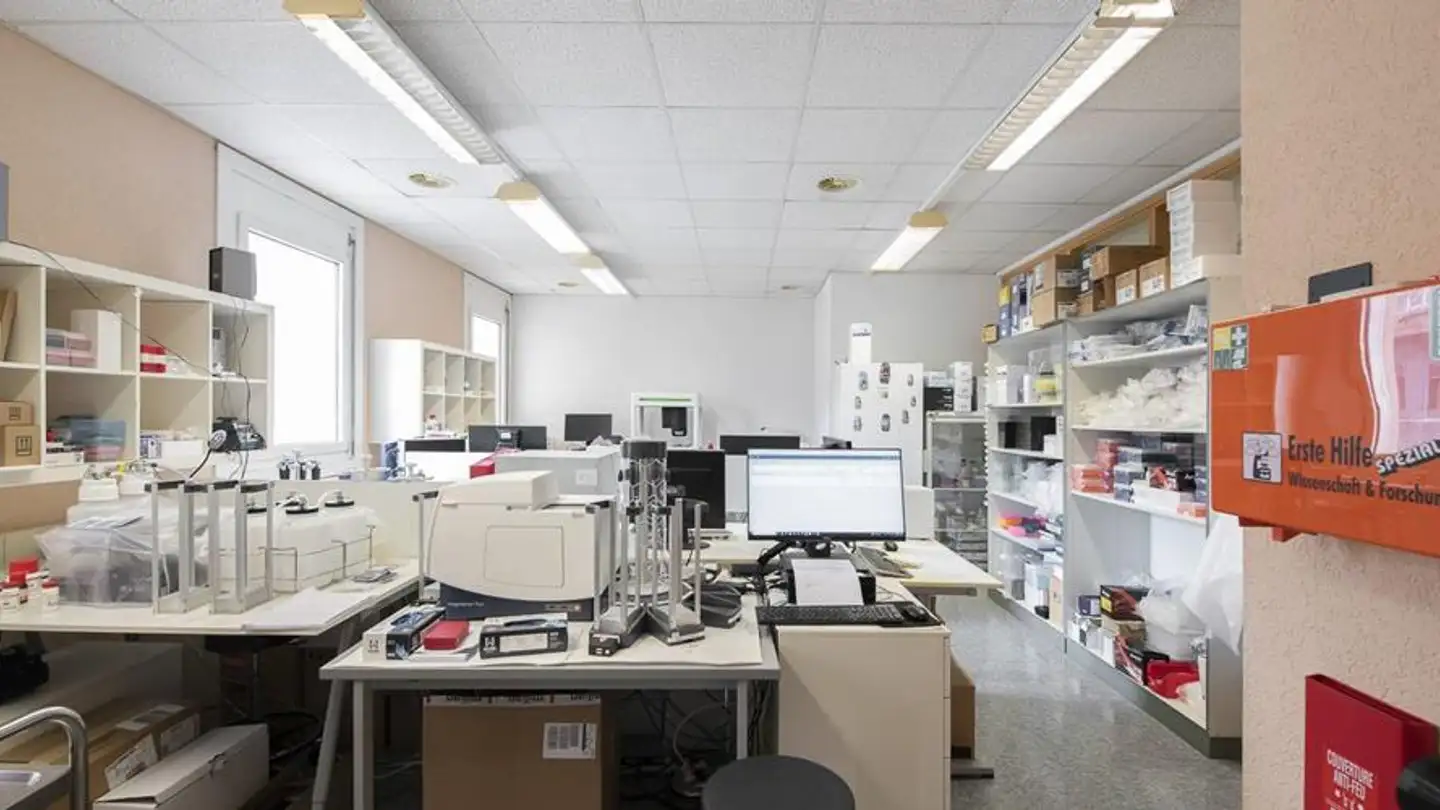 Spazio ufficio in affitto - Chemin Des Aulx, 1228 Plan-les-Ouates - Foto 4