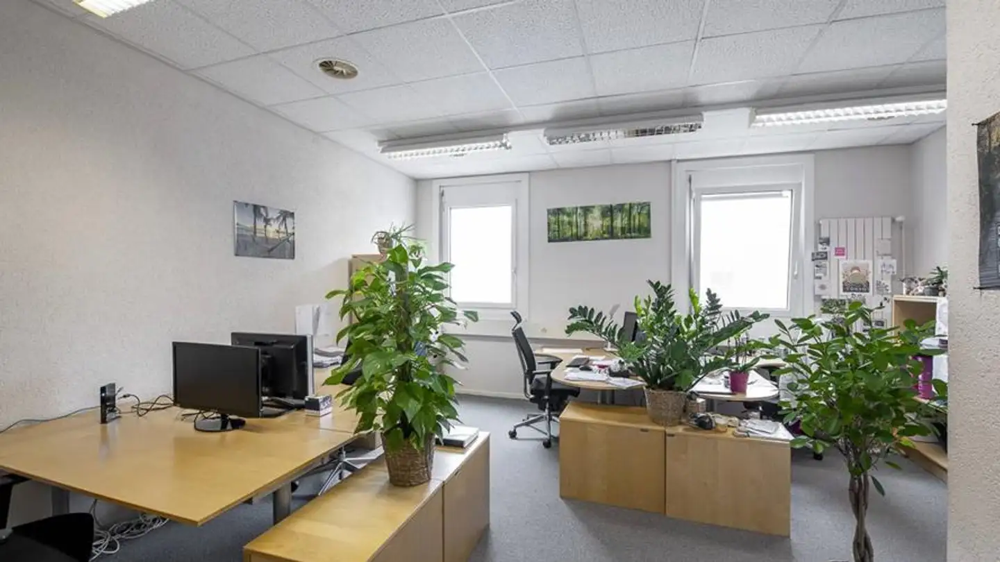 Bürofläche mieten - Chemin Des Aulx, 1228 Plan-les-Ouates - Foto 4