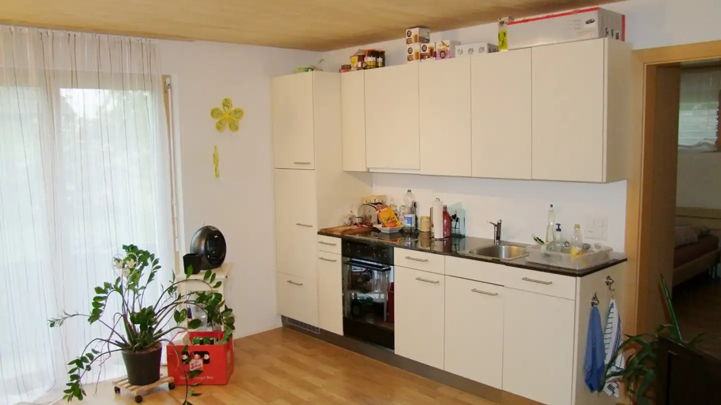 Studio mieten - Rütimattstrasse 3b, 6030 Ebikon - Foto 2
