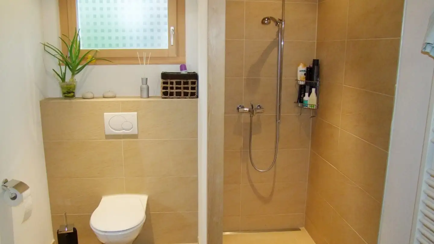 Studio mieten - Rütimattstrasse 3b, 6030 Ebikon - Foto 3