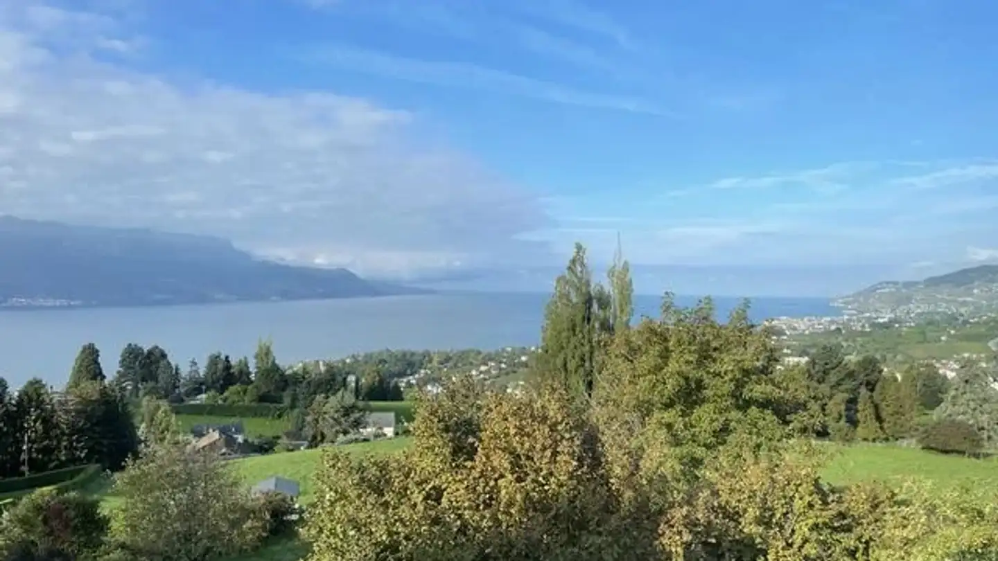 Appartamento in affitto - Route De Chaulin 33, 1817 Brent - Photo 2