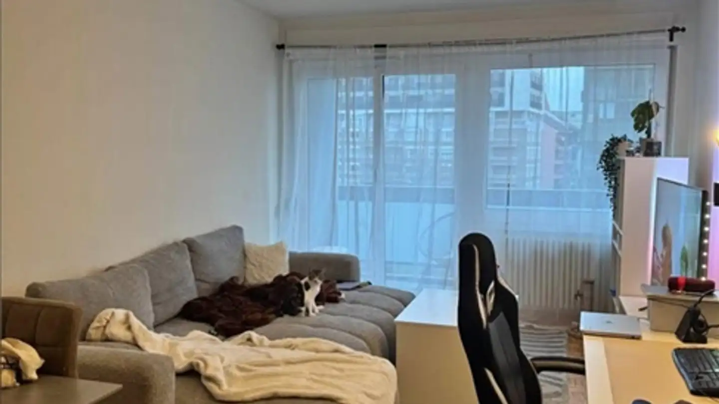 Apartment for rent - 1203 Genève