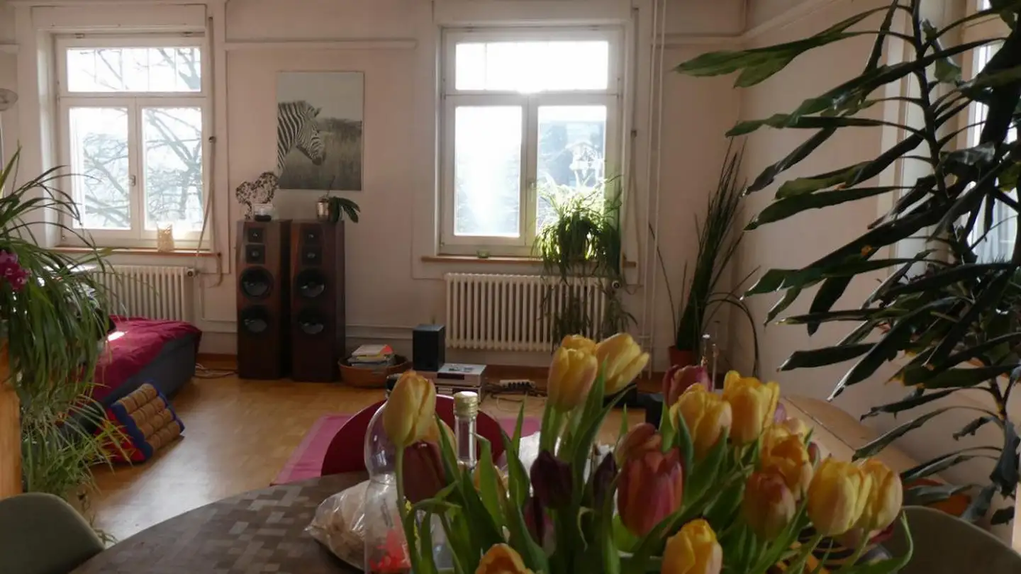 Appartamento in affitto - Schulstrasse 6, 8590 Romanshorn - Photo 2