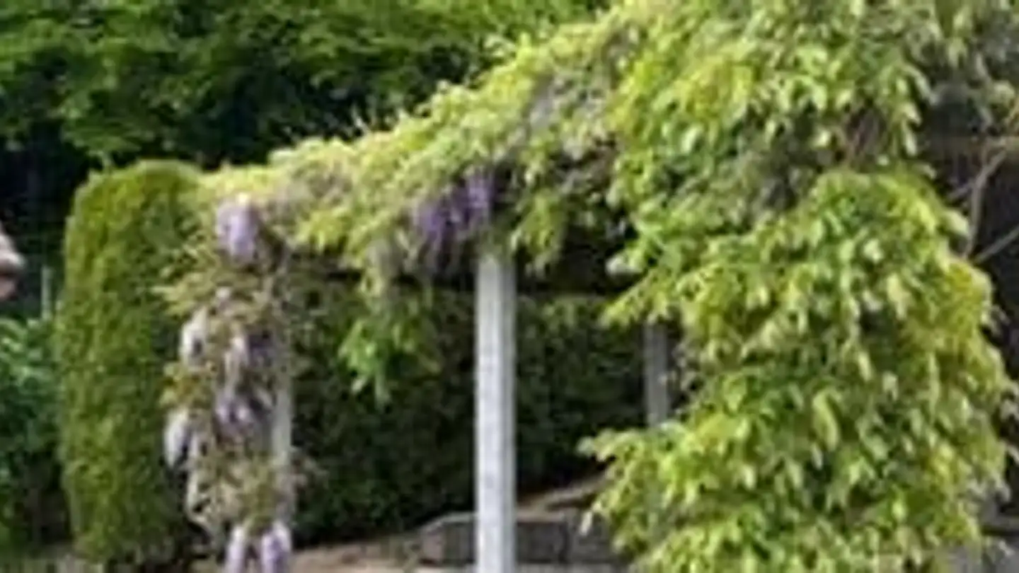 Single house for sale - 4576 Tscheppach - Photo 3