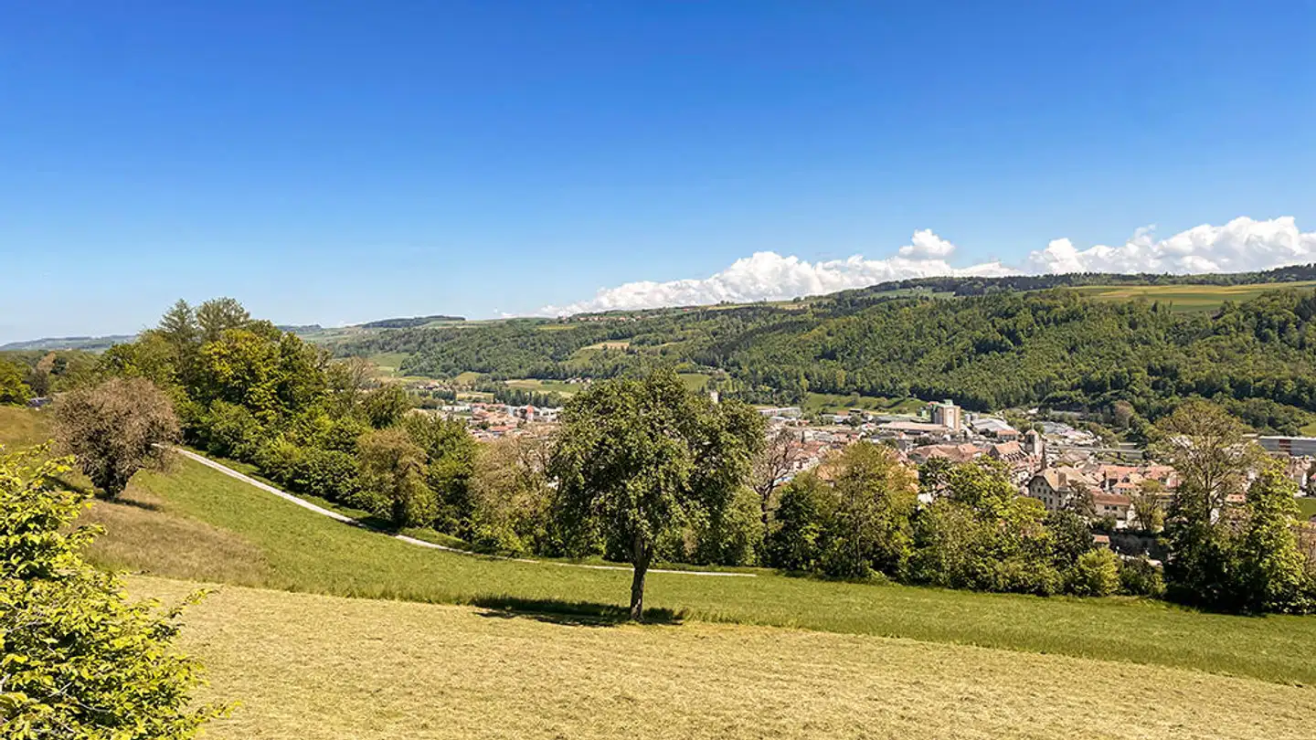 Single house for sale - 1510 Moudon - Photo 2