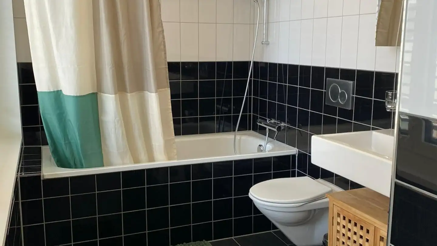 Appartement meublé à louer - 8051 Zürich - Photo 3