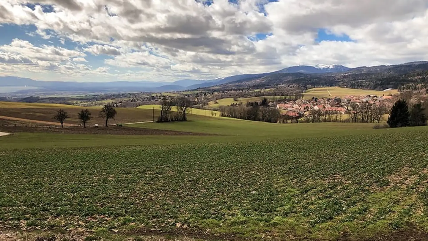 Maison individuelle à vendre - 1261 Longirod - Photo 2