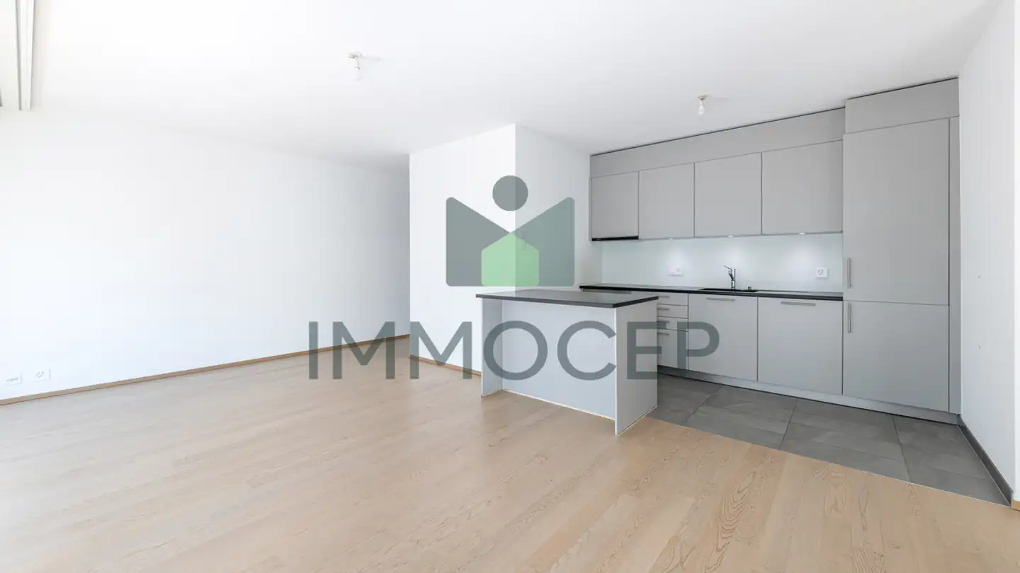 Appartement à vendre - Rue Des Eaux-Vives, 1207 Genève - Photo 3