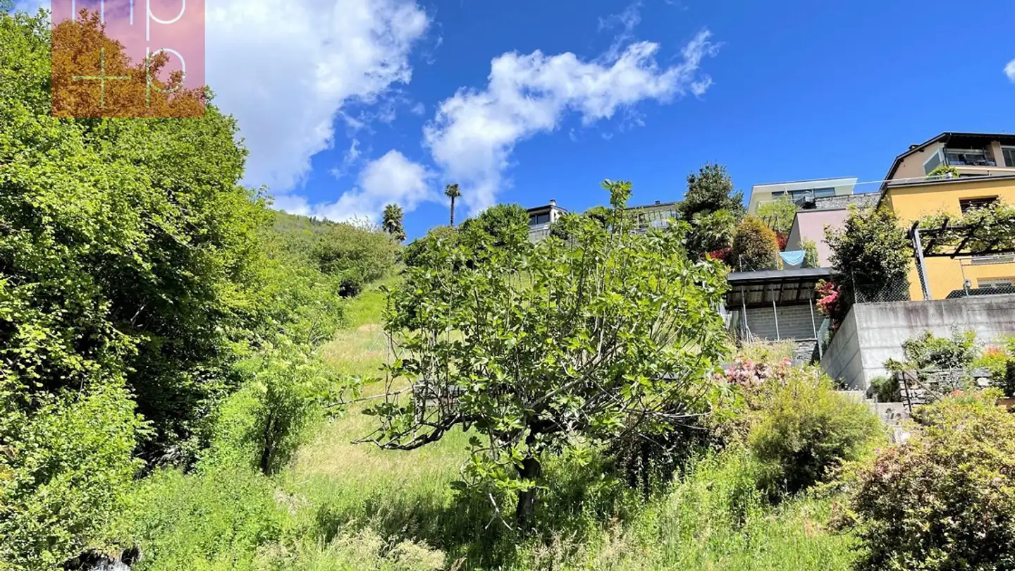 Terreno edificabile in vendita - 6646 Contra - Photo 3