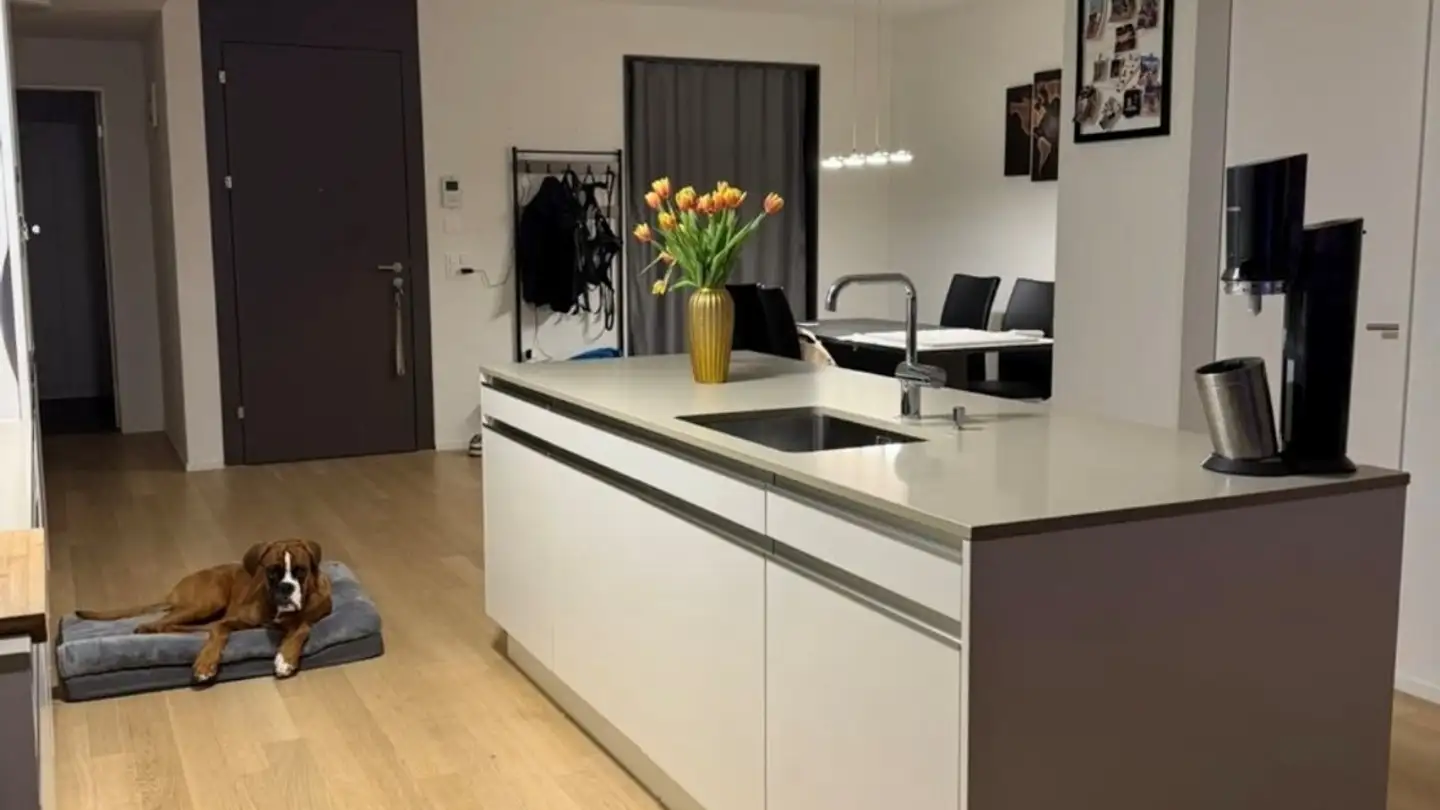 Apartment for rent - Sulzerallee 65, 8404 Winterthur