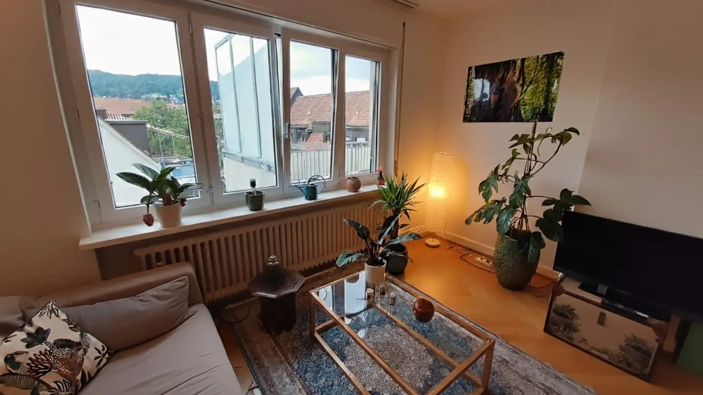 Wohnung mieten - 8057 Zürich
