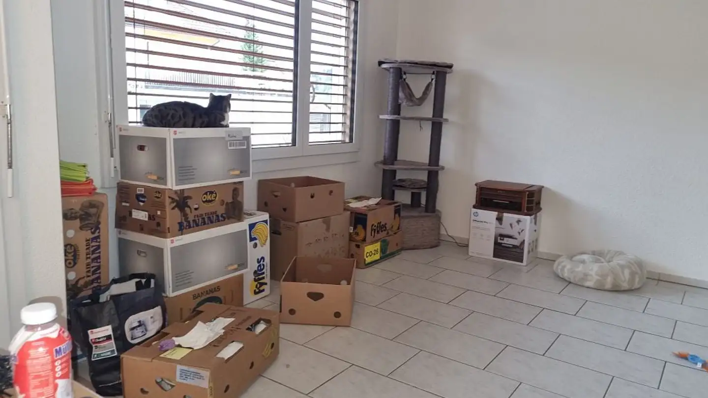 Apartment for rent - Obergasse 13, 4934 Madiswil - Photo 4