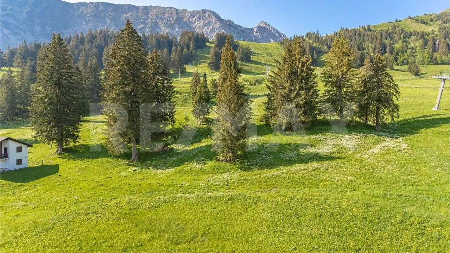 Furnished apartment for sale - 6074 Giswil