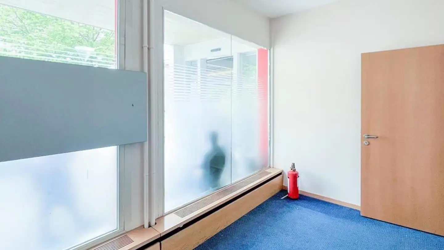 Geschäft mieten - Chemin Antoine- Verchère 3, 1217 Meyrin