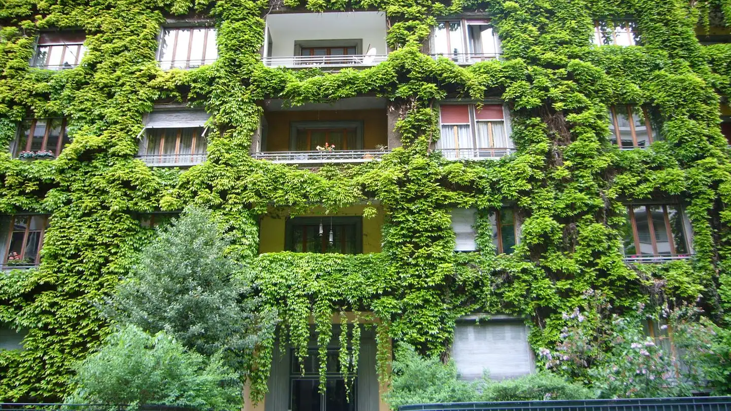 Appartement à louer - Rue De Contamines 30, 1206 Genève