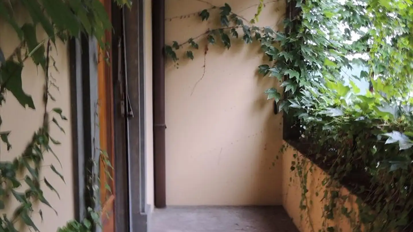 Appartement à louer - Rue De Contamines 30, 1206 Genève - Photo 3