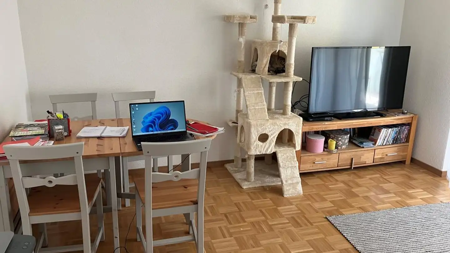 Appartamento in affitto - Haspelstrasse 14, 8483 Kollbrunn - Foto 4