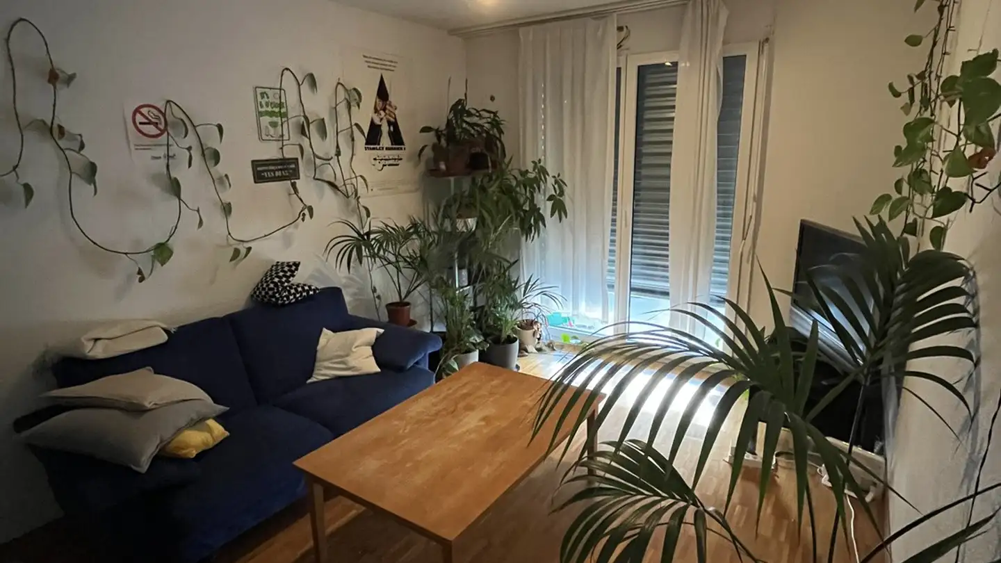Chambre à louer - 8050 Zürich - Photo 4