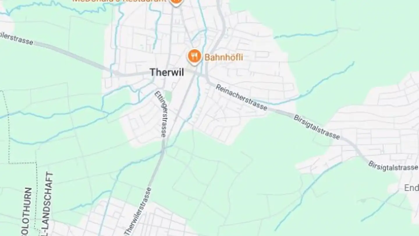 Agricultural business for sale - 4106 Therwil