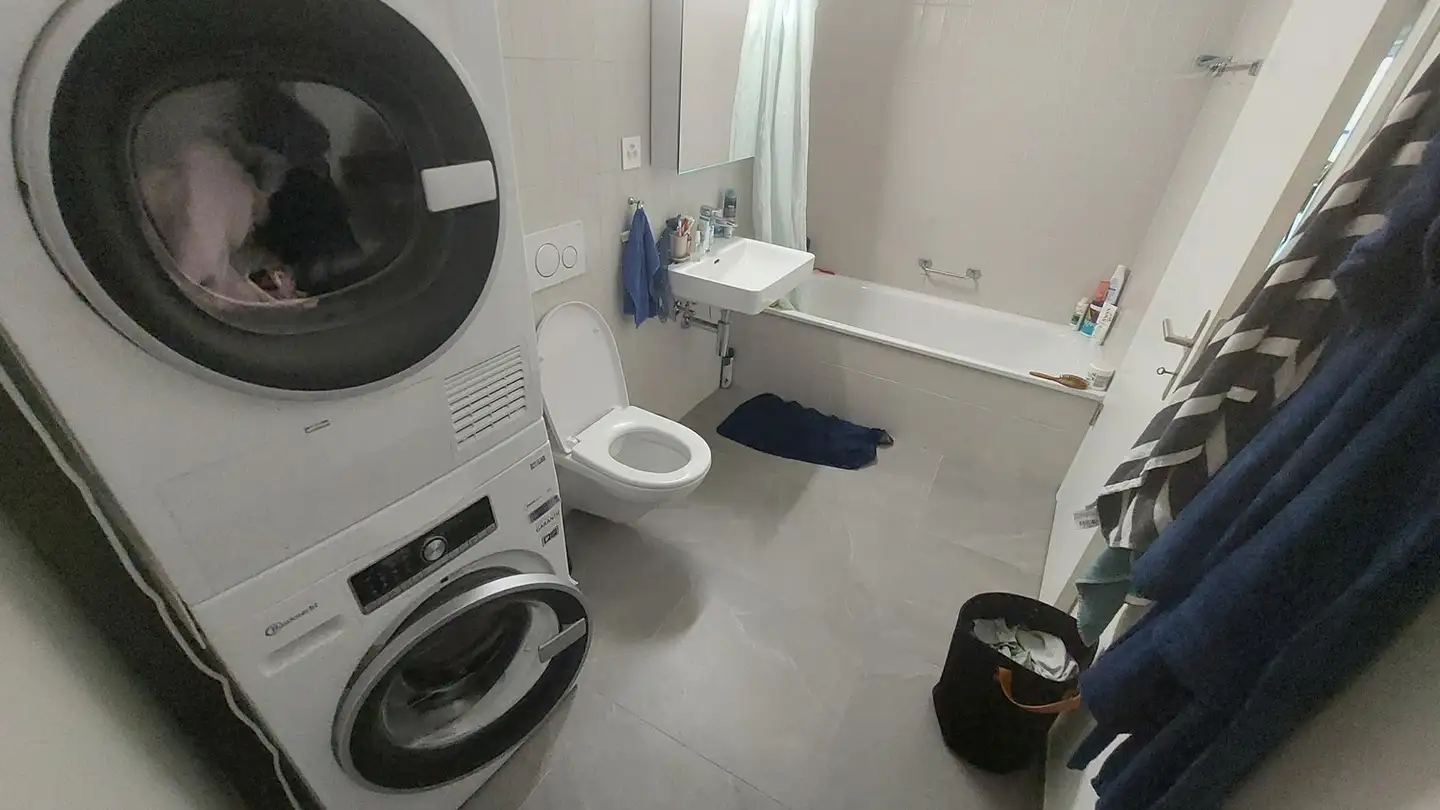 Appartement à louer - Rue Des Entrepôts 3, 1020 Renens VD - Photo 4