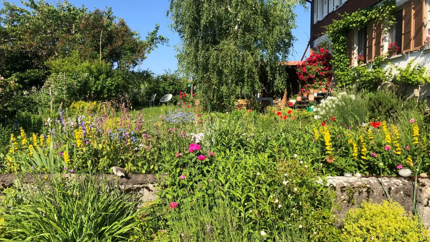 Wohnung mieten - Gambachstrasse 140, 3152 Mamishaus