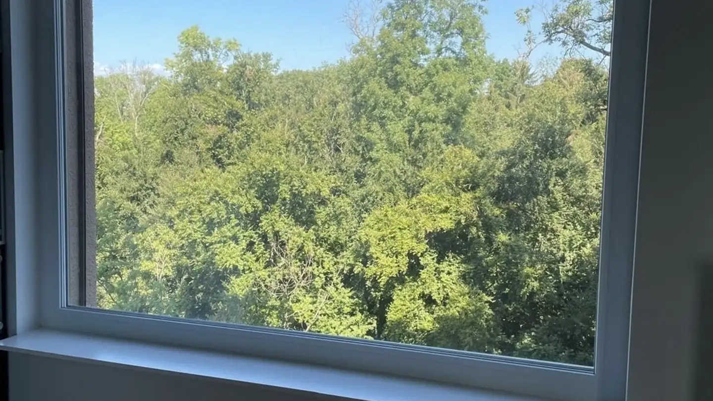 Appartamento in affitto - Seidenstrasse 1, 8304 Wallisellen - Photo 4