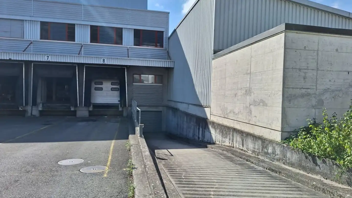 Gewerbe mieten - Route De Meyrin, 1217 Meyrin