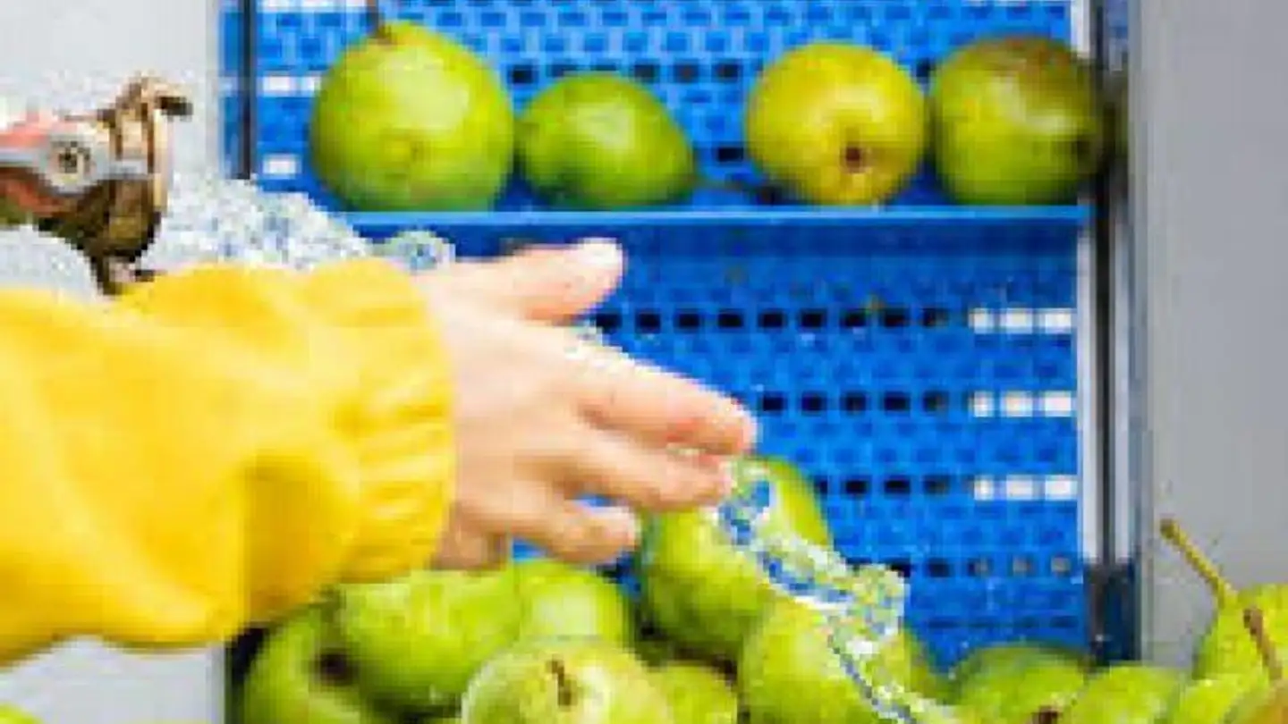 Agricultural business for sale - 3073 Gümligen - Photo 4