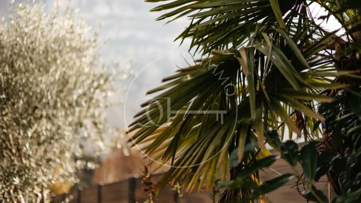 Wohnung kaufen - 1255 Veyrier