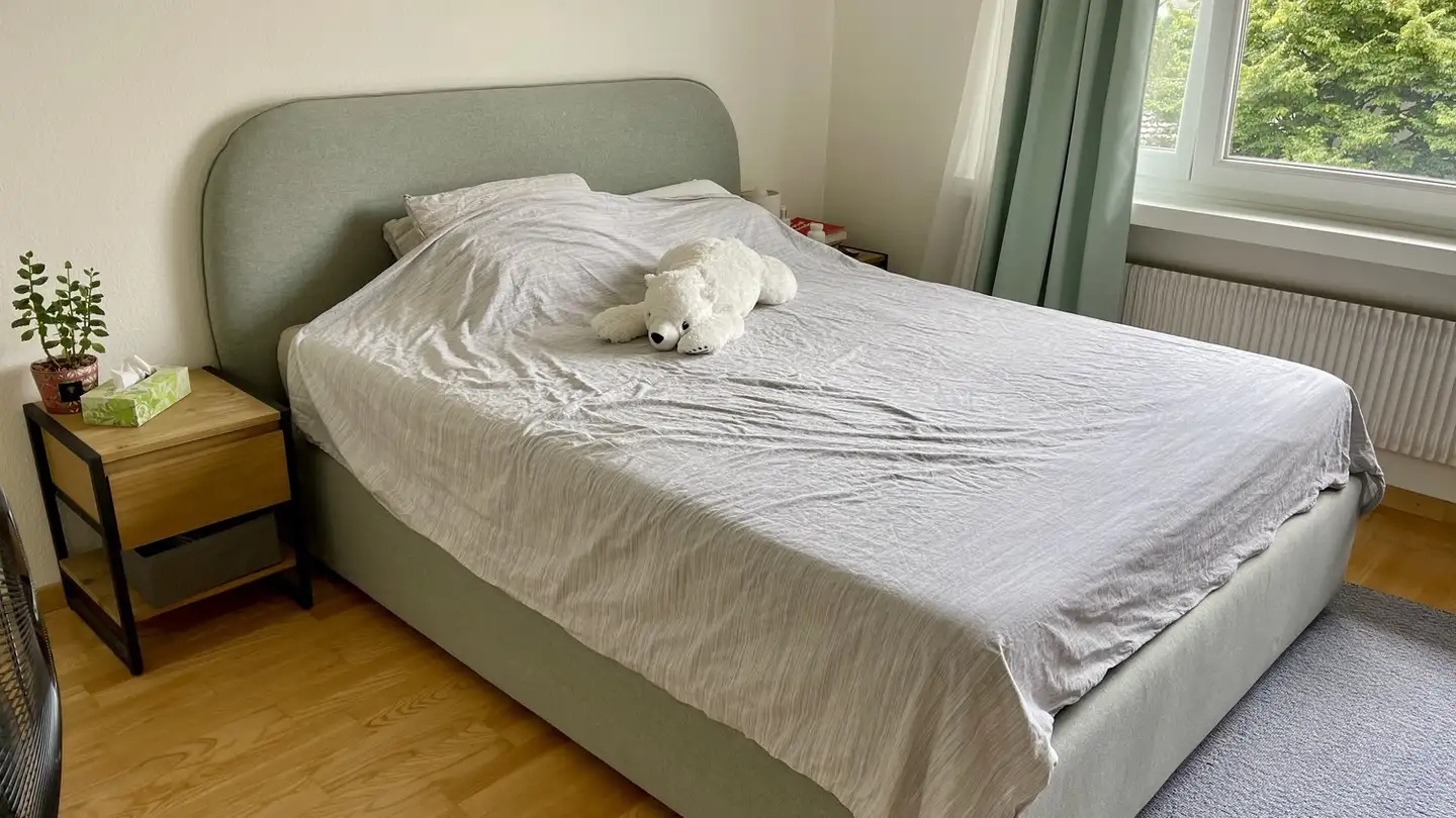 Appartement à louer - Altstetterstrasse 280, 8047 Zürich - Photo 3