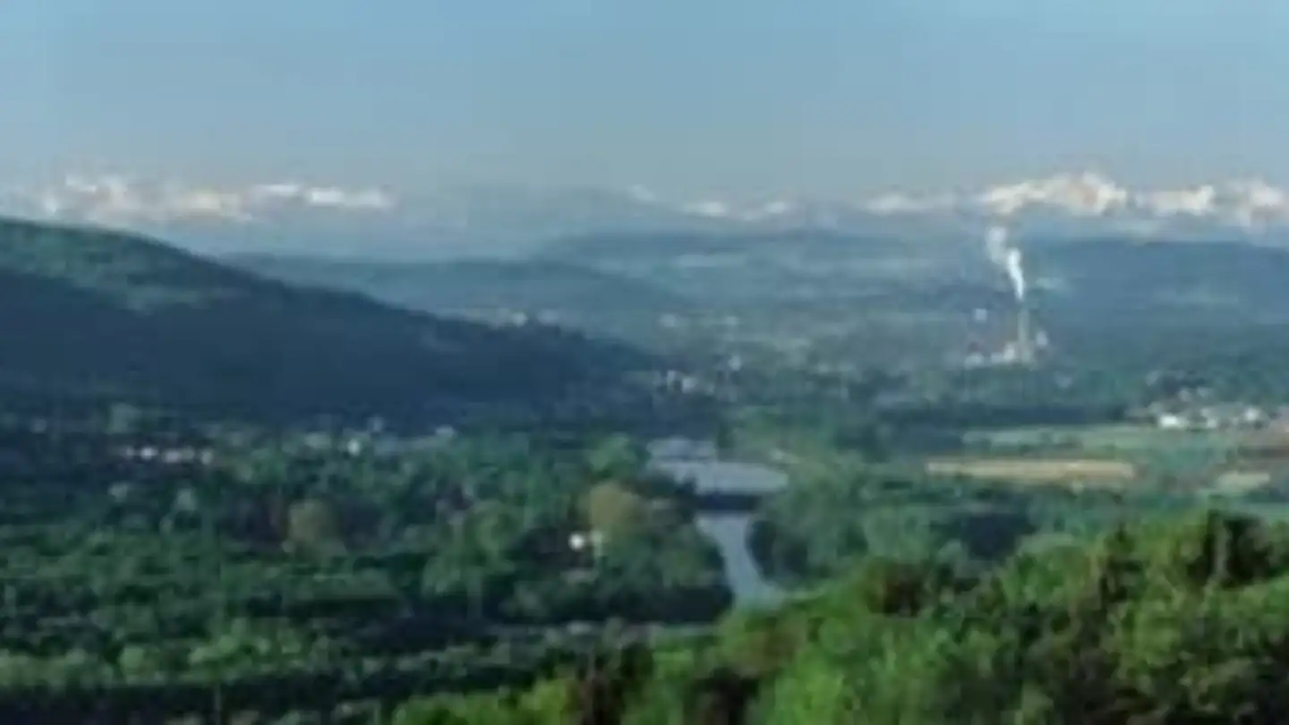 Ristorante in affitto - Vierlinden 2, 5225 Bözberg - Photo 4