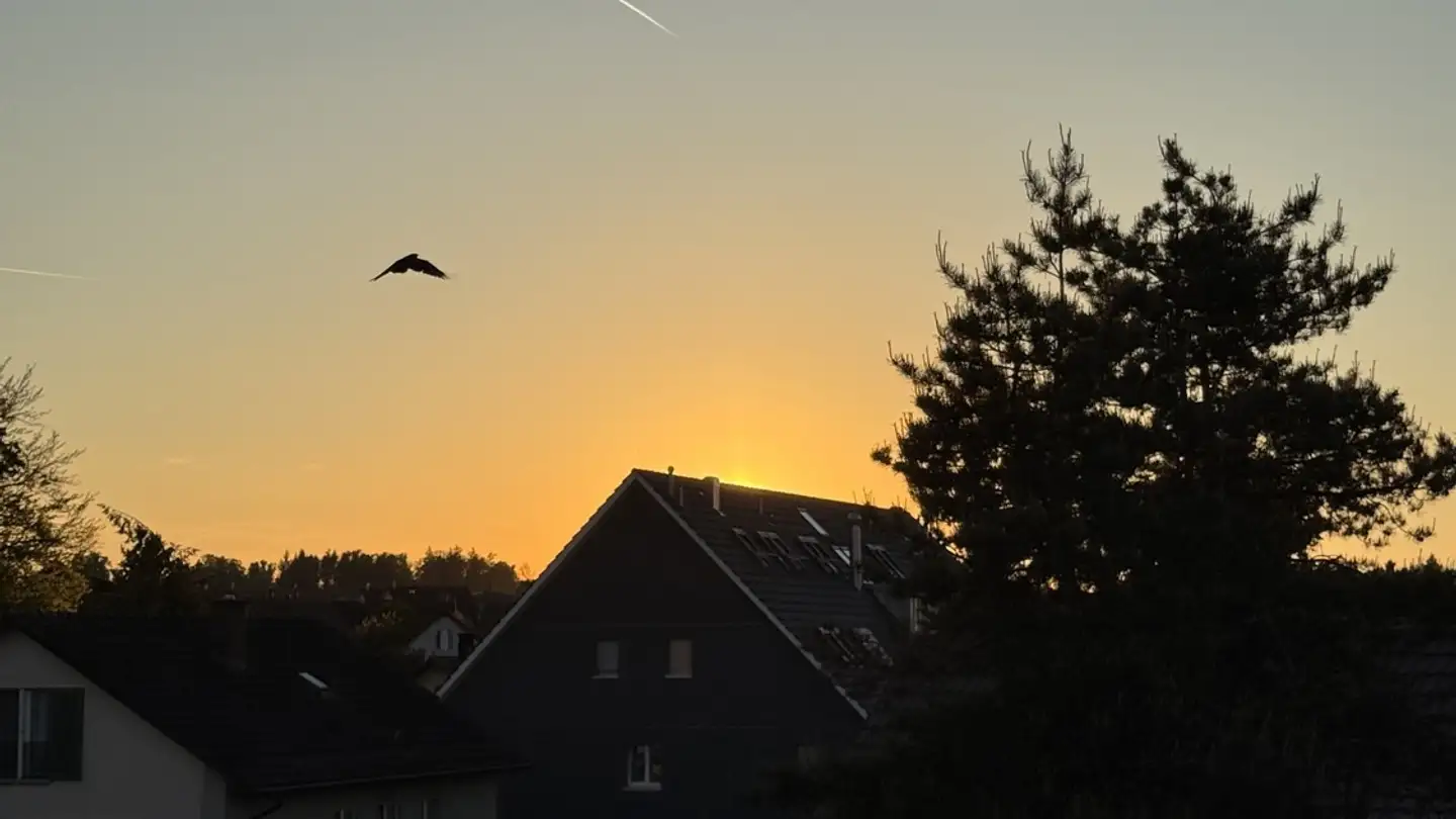 Appartamento in affitto - 8153 Rümlang - Photo 4