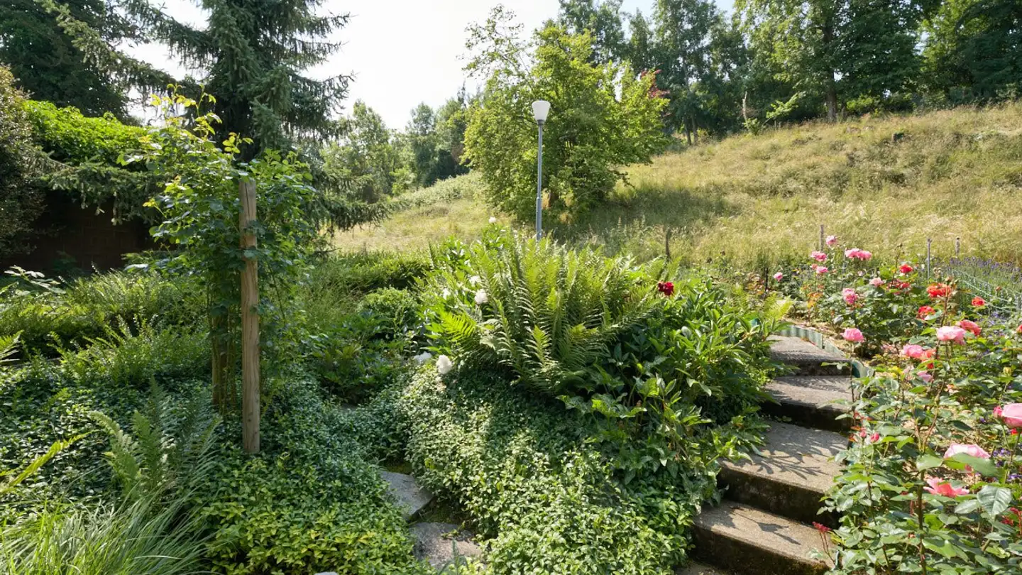 Casa singola in affitto - Riethaldenstrasse 36, 8266 Steckborn - Photo 3